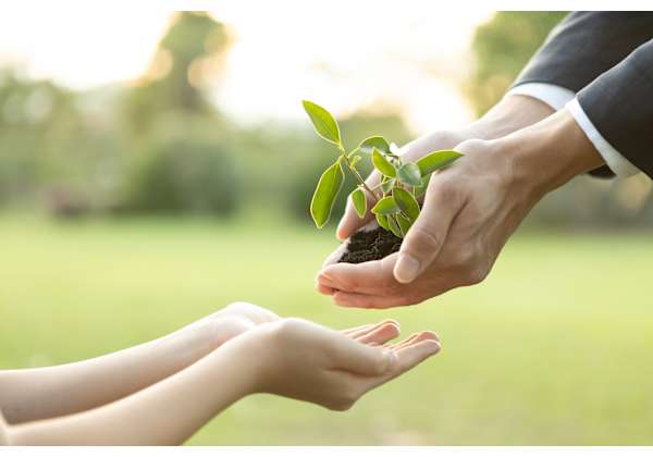 Comparing Carbon Credits vs Renewable Energy Certificates