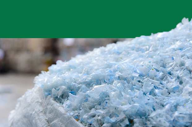 SCJ Sustainability