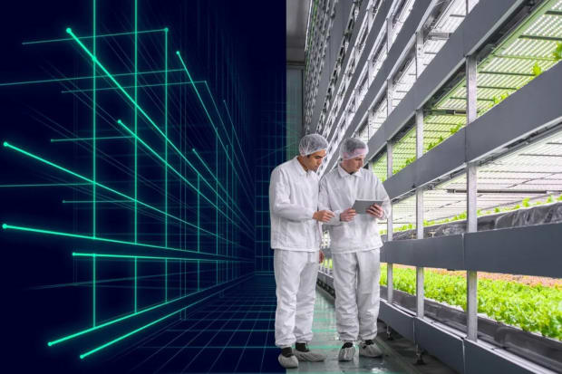 Vertical farming och AI