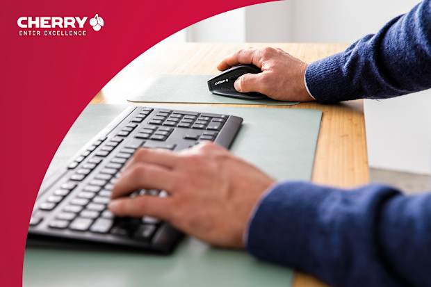 CHERRY STREAM DESKTOP COMFORT