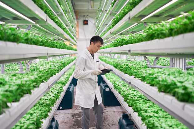 En man i vit rock och vita handskar står i ett rum omgivet av växter.