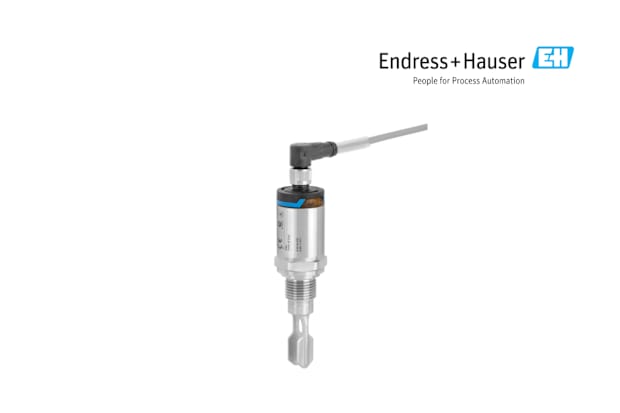 Level Sensors-Endress & Hauser