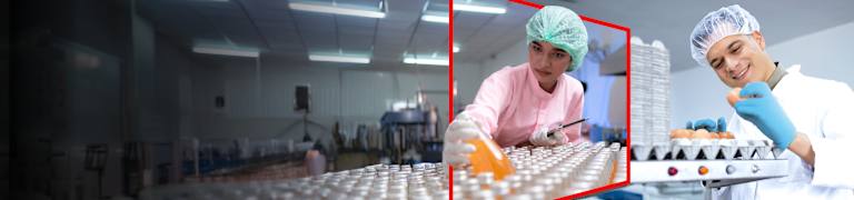 Food and Beverage Solutions