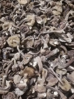 Nấm Tràm Khô 100g chính hãng