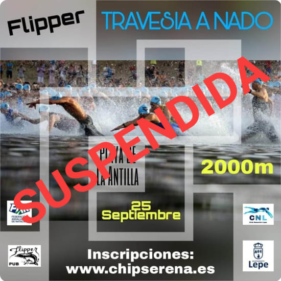 Cartel de la Flipper