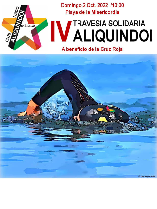 Cartel de la IV Travesía Solidaria Aliquindoi