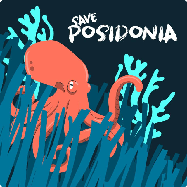 Cartel de la Posidonia Race