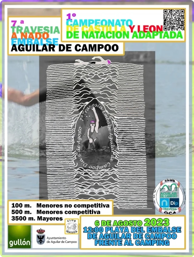 Cartel de la VII Aguilar de Campoo