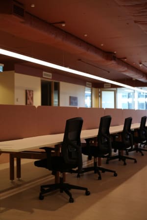 Image 1 of Coworking Membership in Canberra City