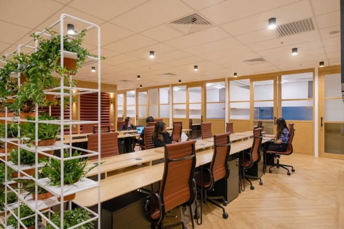 Modern coworking space with ergonomic chairs, natural light, and greenery for a productive environment.