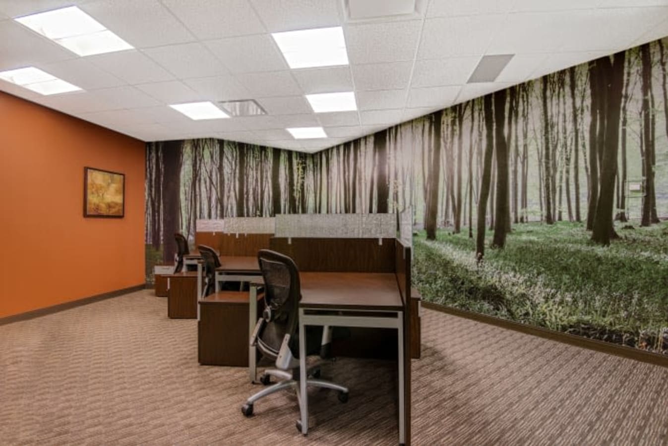 Image 6 of 1755 Telstar Drive, Colorado Springs