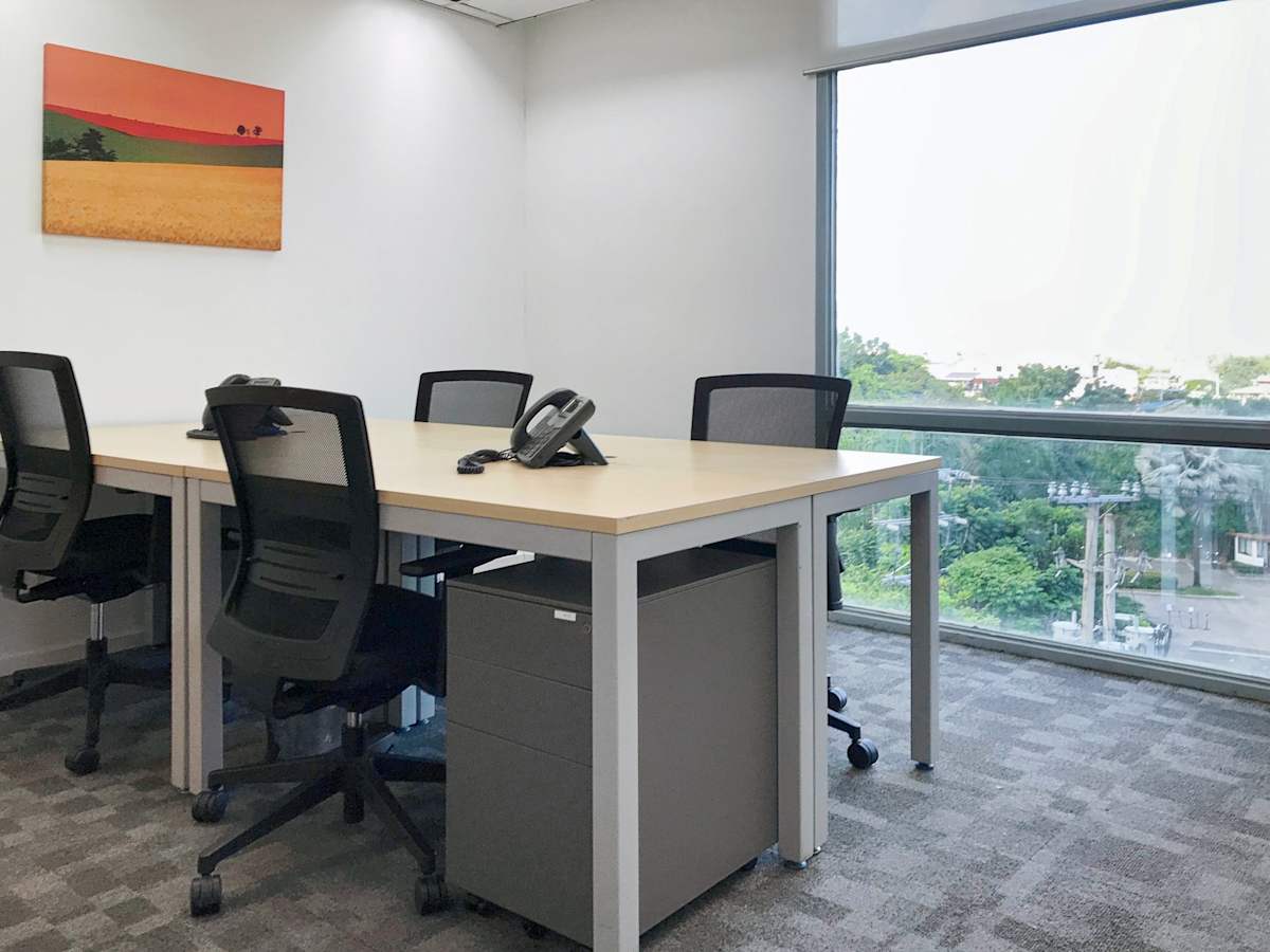 Bright coworking space with modern desks, ergonomic chairs, and a scenic window view.