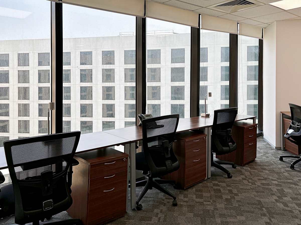 Bright workspace with modern desks, ergonomic chairs, and floor-to-ceiling windows.