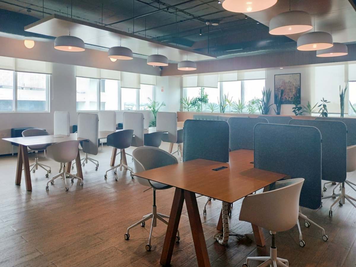 Modern coworking space with ample natural light, stylish desks, and ergonomic seating.