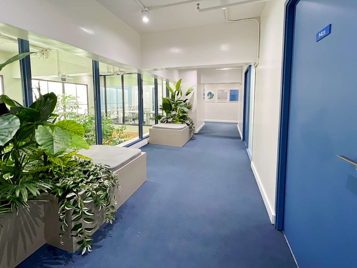 Modern coworking space with abundant greenery and natural light on Quezon Avenue, Metro Manila.