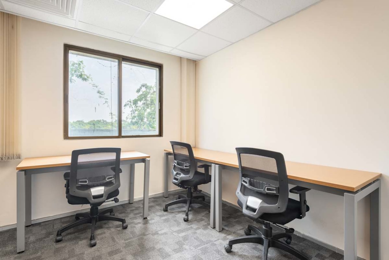Bright coworking space with modern desks and ergonomic chairs, offering a focused work environment.