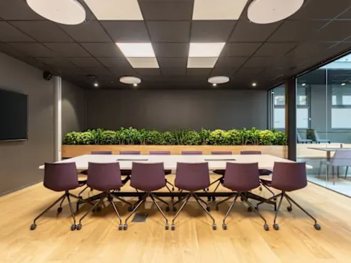 Modern conference room with ergonomic chairs, vibrant greenery, and natural lighting.