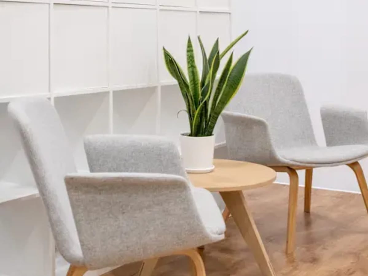 Cozy and modern seating area with stylish chairs and a sleek plant accent in our Western Bicutan space.