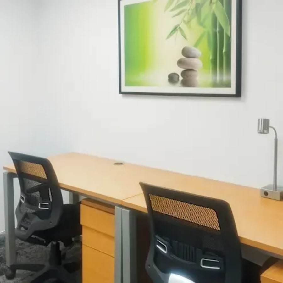 Modern workspace with ergonomic chairs and natural décor accent. Ideal for focused productivity.