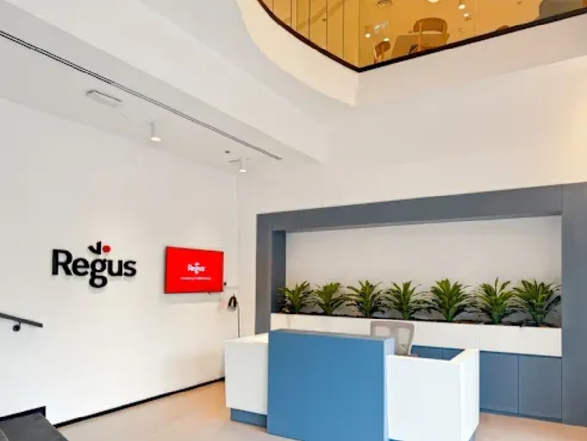 Modern and welcoming workspace with greenery and abundant natural light in Port Saeed Deira, Dubai.