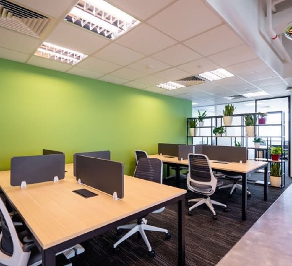 Modern coworking space with natural light, greenery, and ergonomic seating.