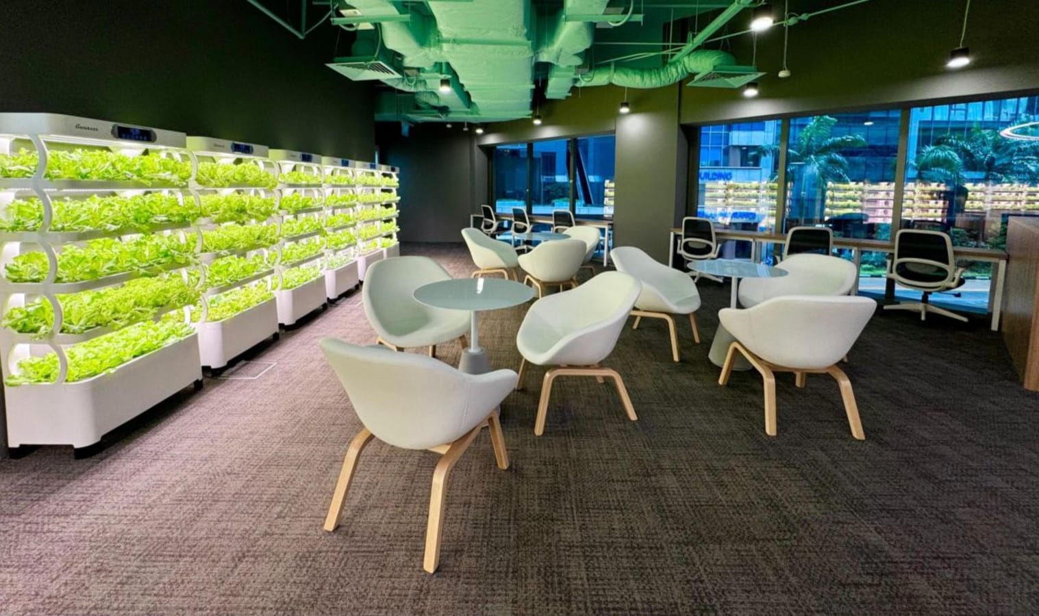 Bright coworking space with natural light, modern seating, and indoor greenery for a refreshing workday.