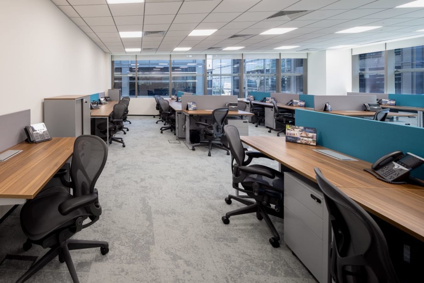 Modern coworking space with ample natural light and ergonomic workstations on Sheikh Zayed Road.