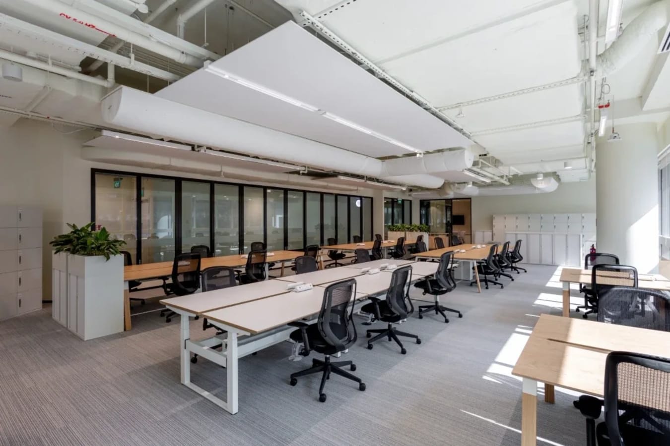 Modern coworking space with ample natural light, ergonomic chairs, and collaborative desks.