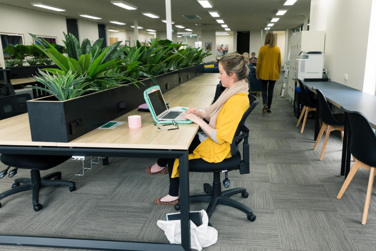 Coworking Desk for 1 405/desk /month Ballarat Central (Ref