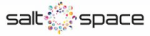 Salt Space logo