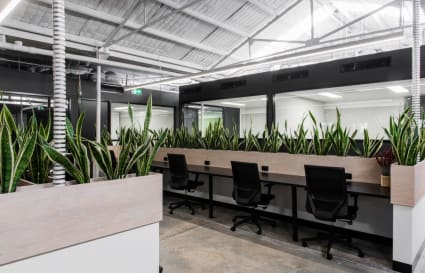 Casual Coworking Desk