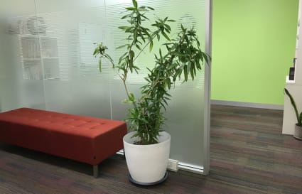 Foyer seating area