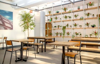 35 Person Office with Kitchen, Meeting Room, Washroom and Phone Booth | 1,384 sqft