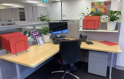 Co Working Desk