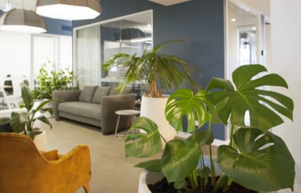 Dedicated Desks in Cremorne 24/7 Access & with views out over Richmond 