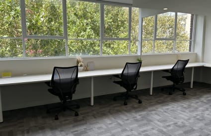 Coworking Desks in Surry Hills