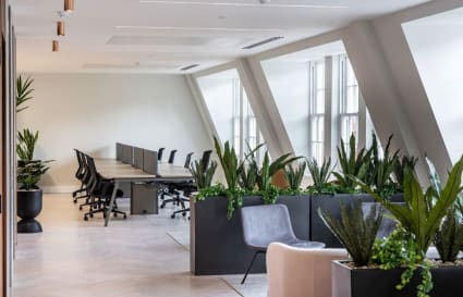 30 Person Managed Office with Meeting Rooms, Kitchen, Breakout and Phone Booths | 2,938 Sq. Ft.