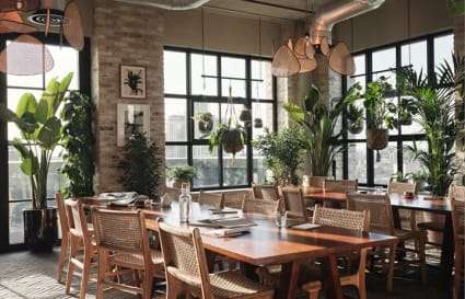 Coworking Desks - Open Studio set-up