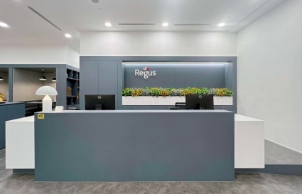 Sleek reception area with modern design and greenery accents on Robinson Road, Singapore.