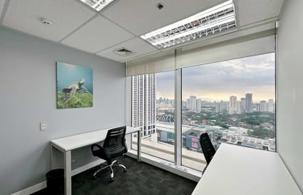 Spacious private office with stunning city views and natural light. Ideal for focused work.