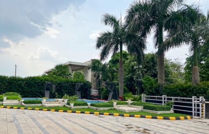 Serene outdoor area at a Noida-Greater Noida coworking space, featuring lush greenery and palm trees.