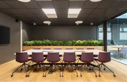 Modern conference room with ergonomic chairs, vibrant greenery, and natural lighting.