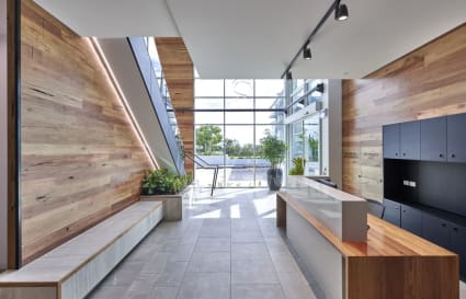 Modern coworking space with sleek wood accents and abundant natural light.
