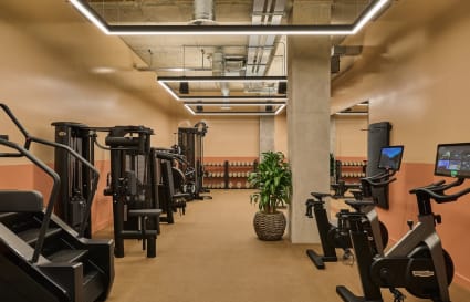 Private Office for up to 4 People