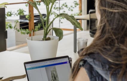 Coworking Desks in Noosaville