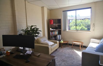 PRIVATE OFFICE FOR REMOTE PROFESSIONAL — CARINGBAH
