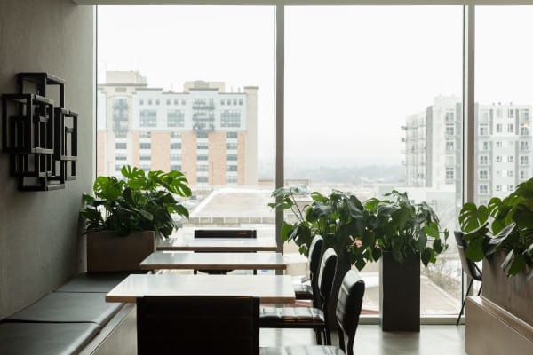 261 Madison Avenue, New York, NY