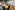 Image 1 of 6 Person Serviced Office 