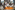 Image 18 of 11 Person Private Office in London overlooking Atrium | 350 Sq. Ft.