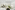 Image 1 of 40 Person Managed Office with 2 Meeting Rooms in London | 3,779 Sq. Ft.